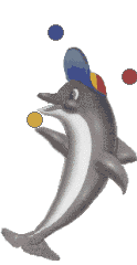 golfinho malabarista